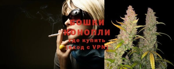 дурь Богданович