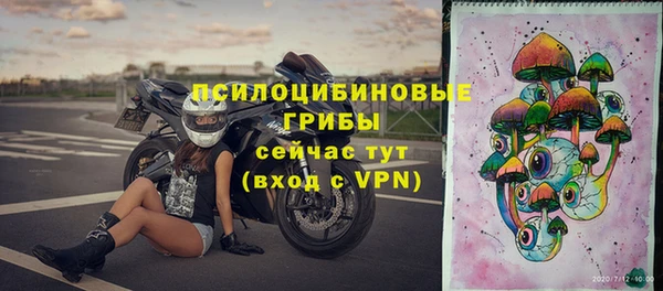 экстази Богородск