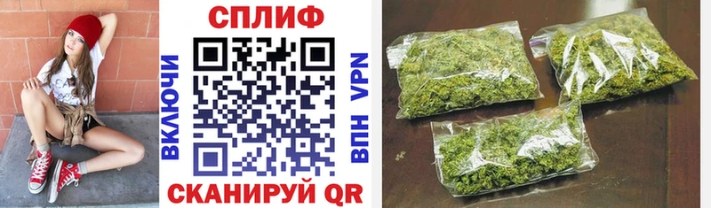 Канабис сатива  Княгинино 